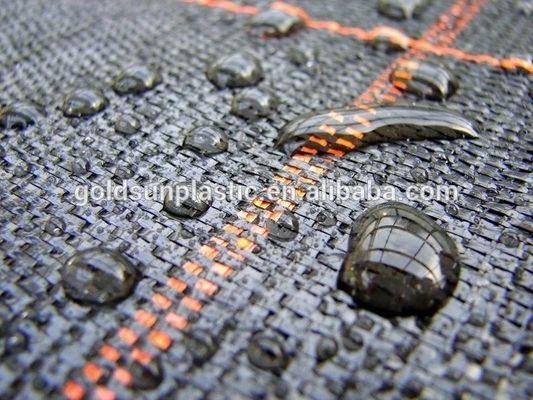 Black Polypropylene Woven Fabric Agricultural Polypropylene Ground Cover Fabric